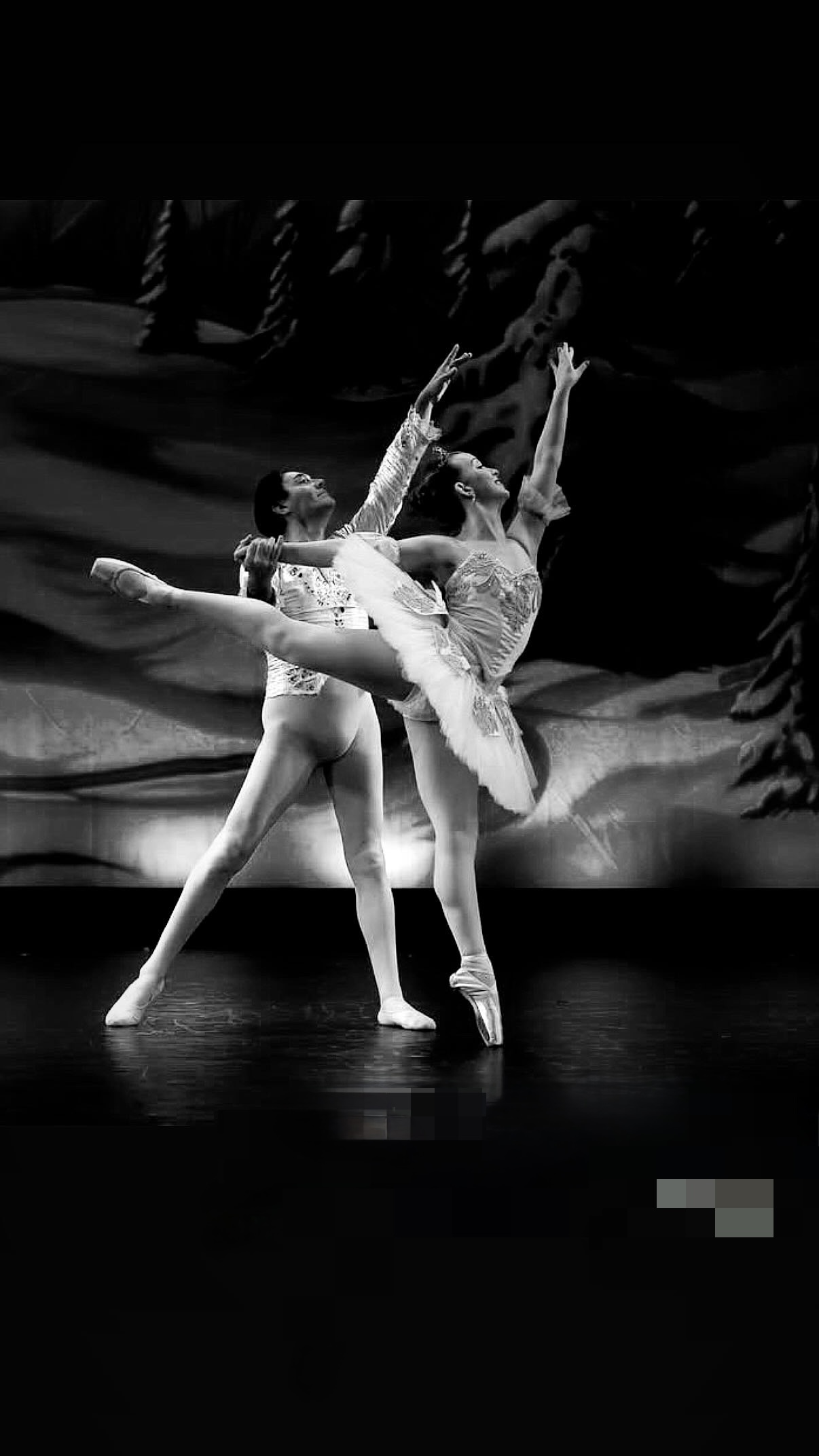 Credit: Abigail Photos